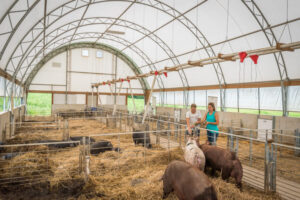 Hog Production and Pork